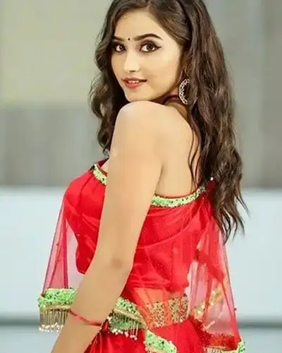Call Girls Service Silwani
